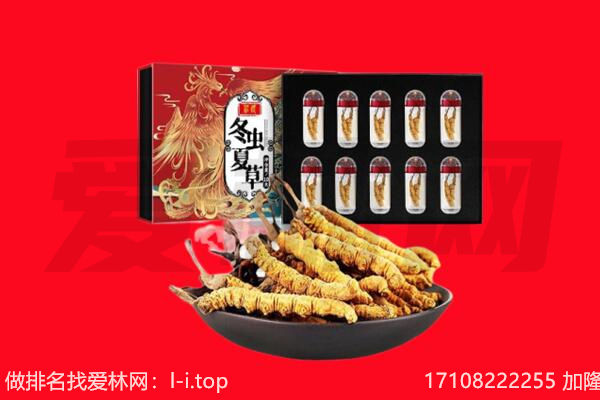 乌兰察布市察哈尔右翼后旗回收虫草.jpg